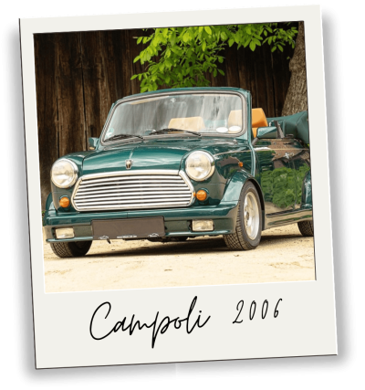 Kleiner grüner Mini Cooper Cabrio aus dem Jahr 2006 vor Holzzaun und Bäumen.