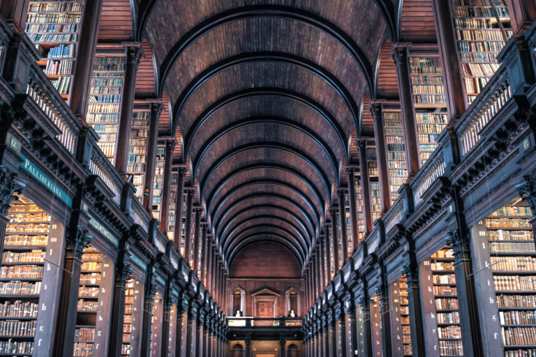 Eine Bibliothek voller Bücherregale