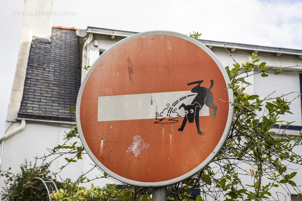 Clet Abraham verwandelt ein Einfahrt-verboten-Schild mit einem pinkelnden Hund in Florenz – Toskana Wochenschau