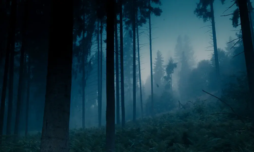 Erlkönig – dunkler Wald im Nebel