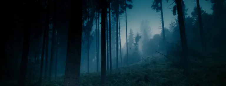 Erlkönig – dunkler Wald im Nebel