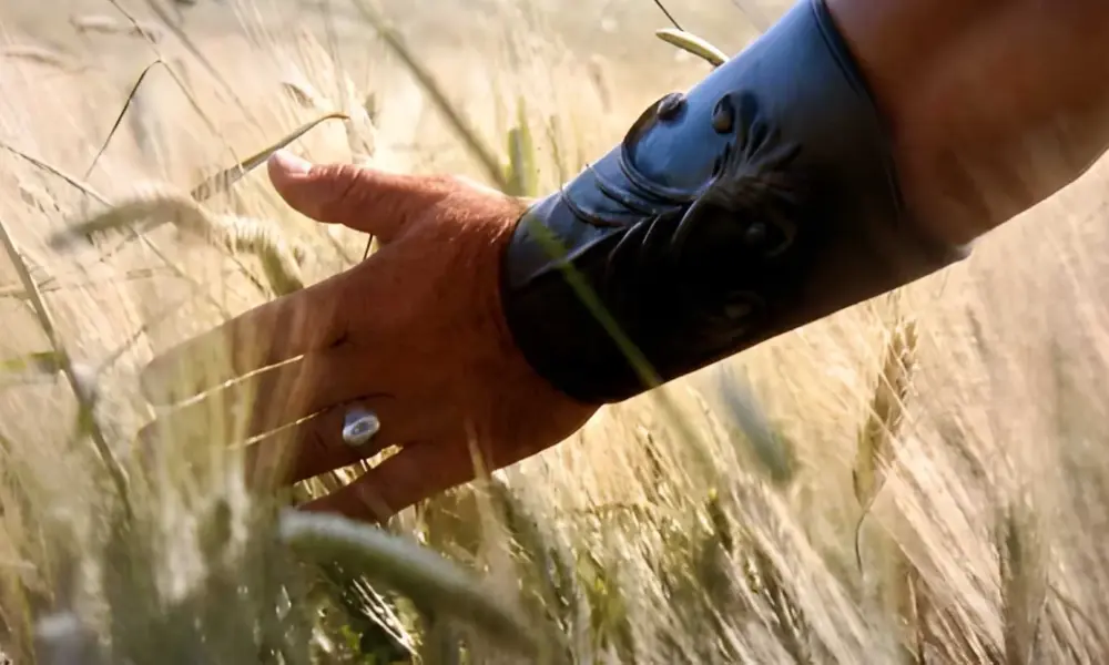 Gladiator – Hand von Maximus im Weizenfeld als Motiv für Elysium