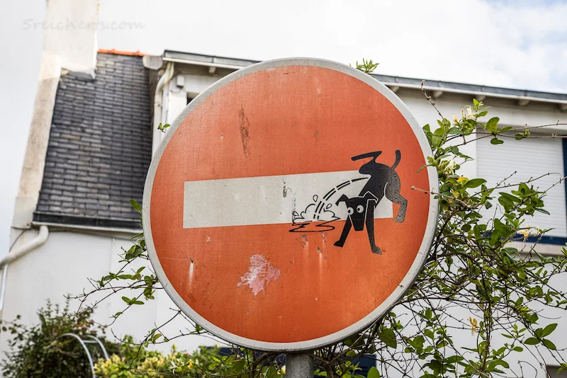 Toskana Wochenschau – Clet-Abraham-Verkehrsschild mit Hund in Florenz