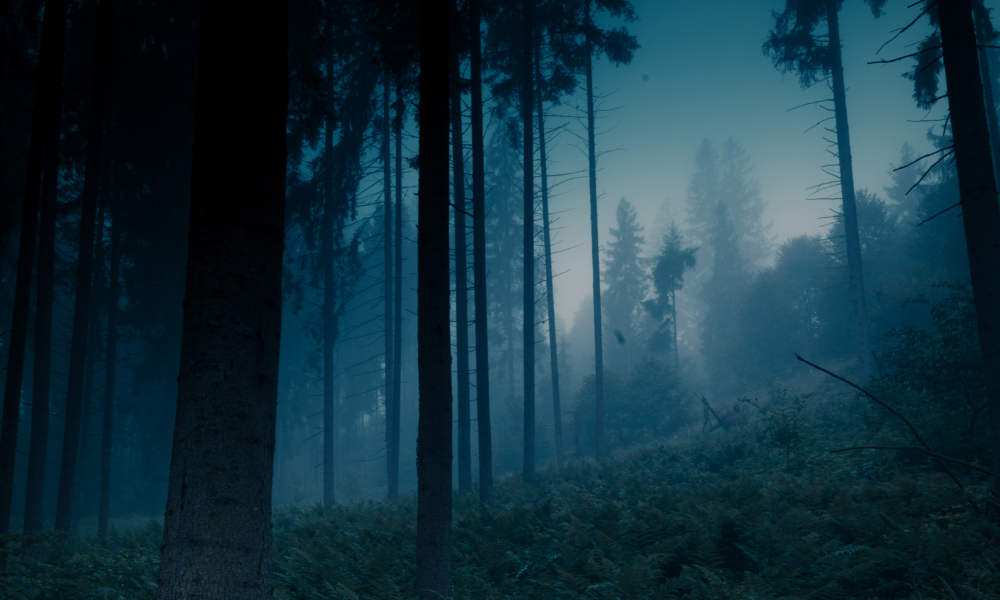 Ein geheimnisvoller Wald bei Nacht, umhüllt von dunkler Magie. Eine Halloween-Kulisse im Blauen Mondlicht.
