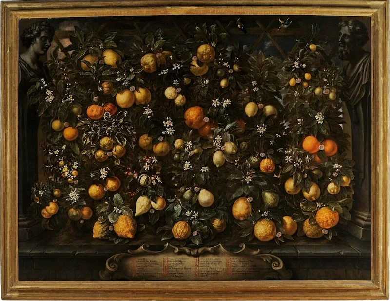 Gemälde mit zahlreichen Zitrusfrüchten von Bartolomeo Bimbi aus dem Jahr 1715