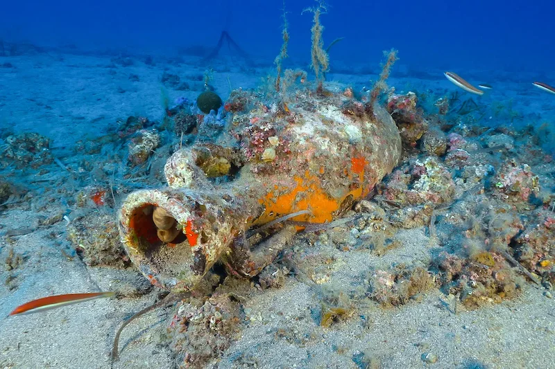 Bewachsene Amphoren und Keramikreste auf dem Meeresgrund vor Elba – Toskana Wochenschau