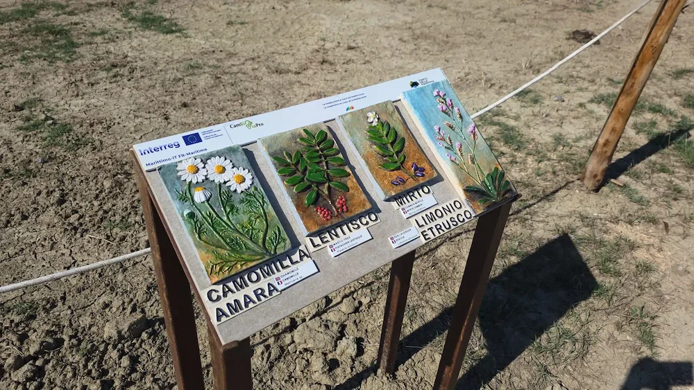 Toskana Wochenschau – tastbare Pflanzentafeln am Sinnesweg im Parco della Maremma für Menschen mit Sehbehinderung