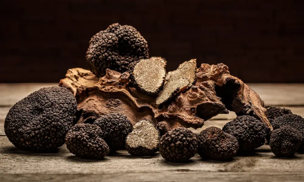 Toskana Wochenschau – schwarze Trüffel auf einem Holztisch