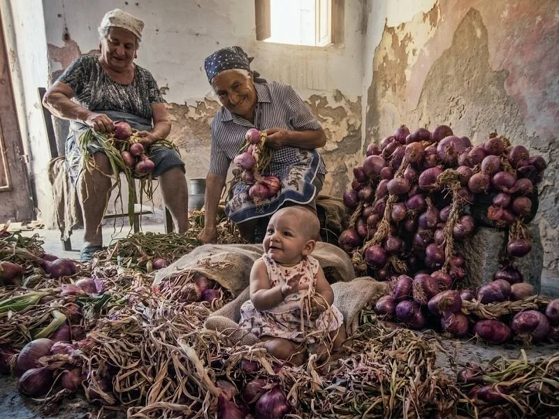 Toskana Wochenschau – zwei Frauen beim Bündeln der Cipolla di Patresi auf Elba, während ein Kind zwischen den Zwiebeln sitzt