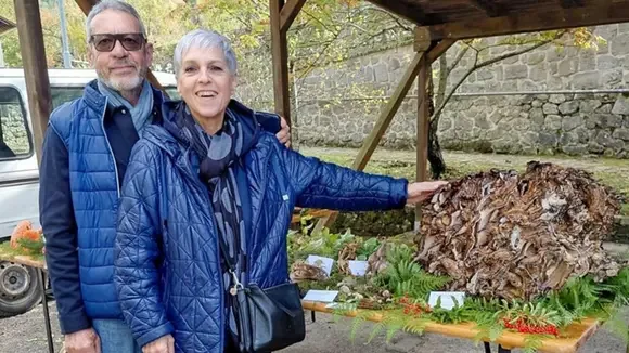 Toskana Wochenschau – Tiziana und Valter Cammilli mit einem mehr als 25 Kilogramm schweren Riesenpilz aus Vallombrosa